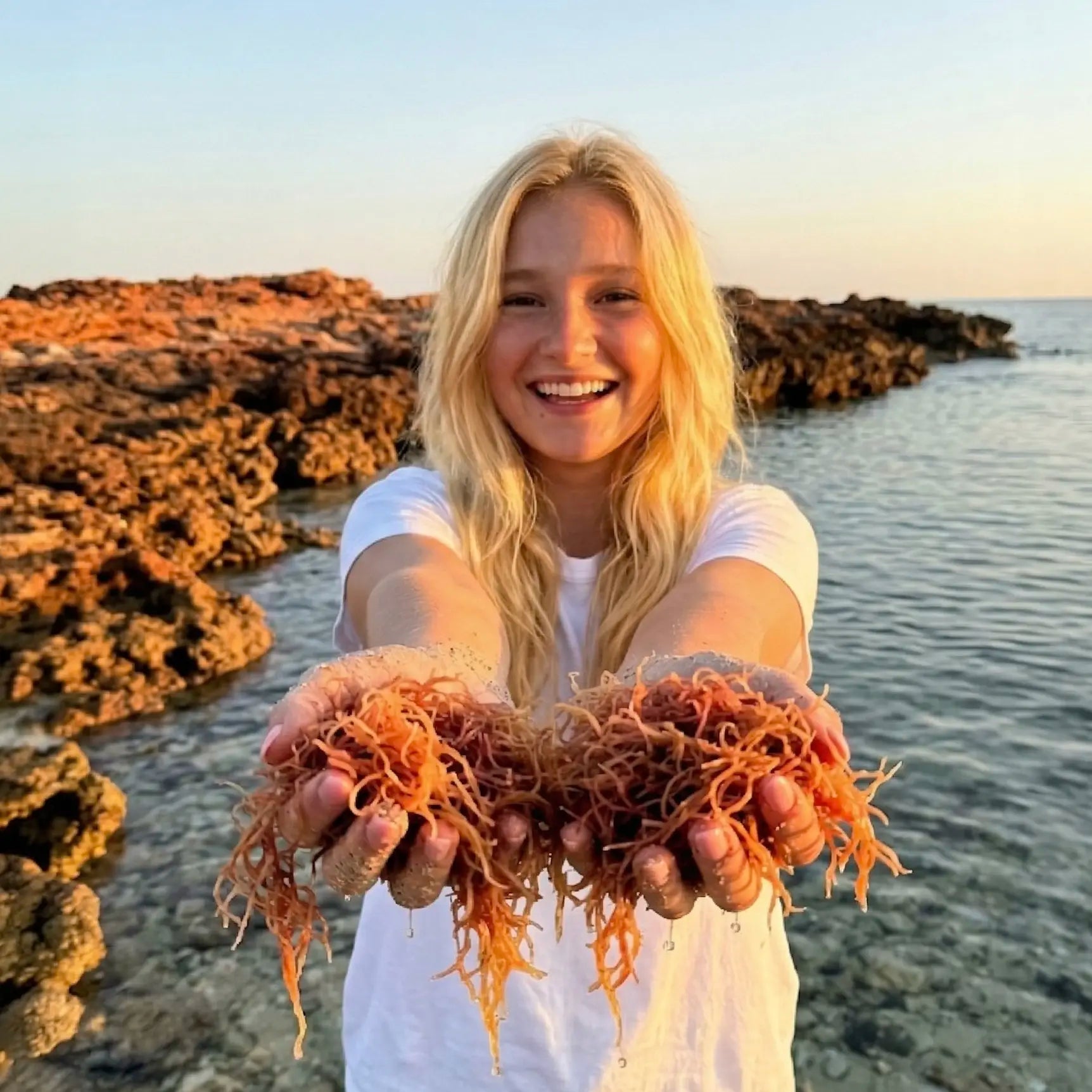 Sea Moss jämfört med andra kosttillskott: Vad ska du välja?
